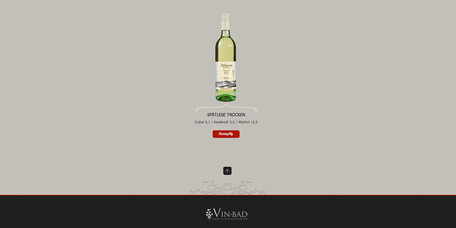 www vin-bad zdjęcie nr 4